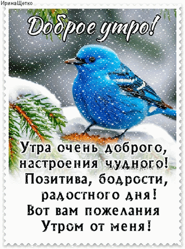 Открытка с добрым зимним утром. Идет снег, синяя птичка на заснеженной ветке. Пожелания.