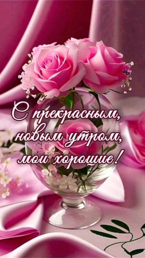 Открытка с добрым утром. Пожелания, розовые розы. Открытка с добрым утром. Пожелания, розовые розы.