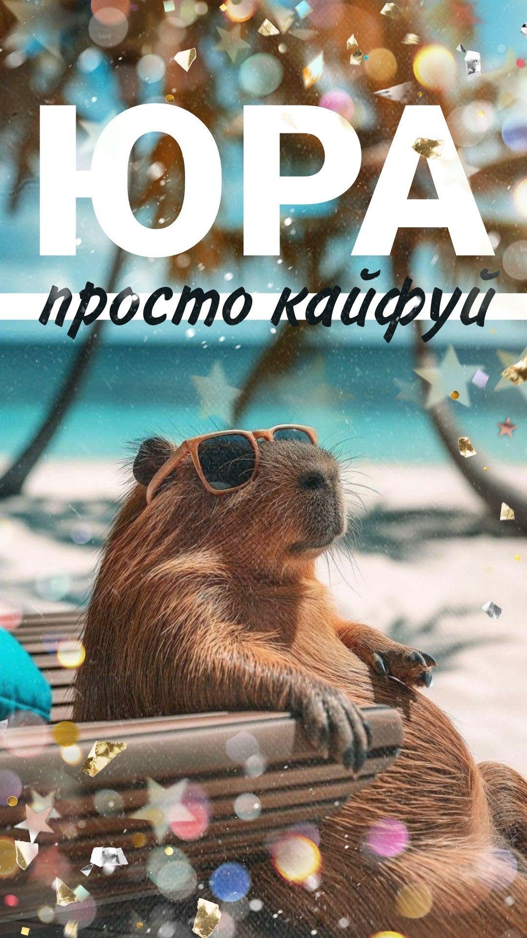 Открытка с днем рождения Юрий Юра прикольная с юмором. Юра, просто кайфуй. Капибара отдыхает на скамейке.