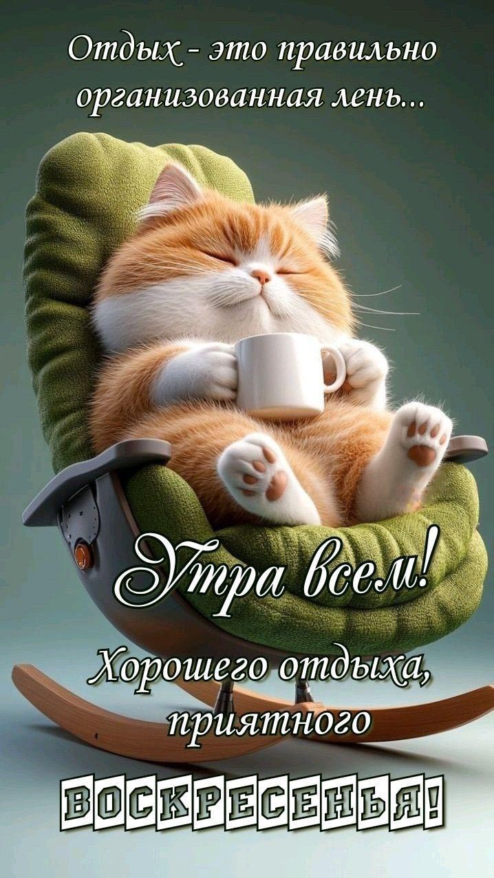 Открытка на воскресенье. Утра всем! Котик в кресле-качалке. Пожелания.
