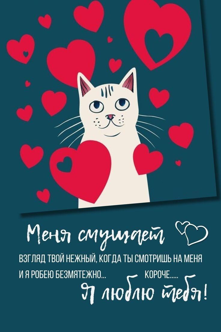 Открытка с днем Святого Валентина 14 февраля. Пожелания, котик и сердечки.