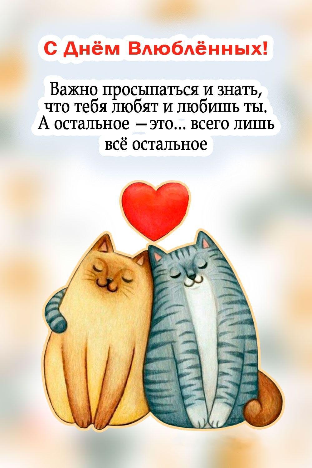 Открытка с днем Святого Валентина 14 февраля. Пожелания, котики с сердечком.