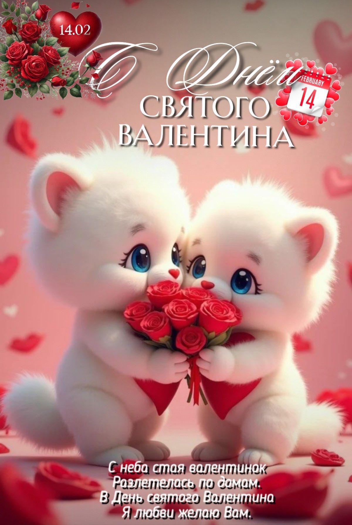 Открытка с днем Святого Валентина 14 февраля. Котики и пожелания.