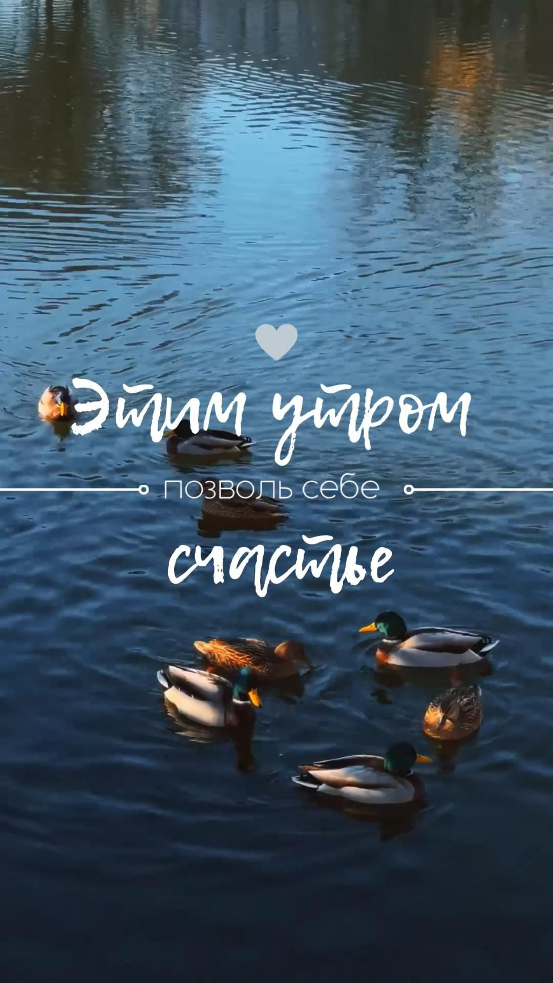 Открытка с добрым утром. Этим утром позволь себе счастье.