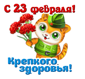 Открытка с 23 февраля День Защитника Отечества gif анимационная. Котик в военной форме с цветами.