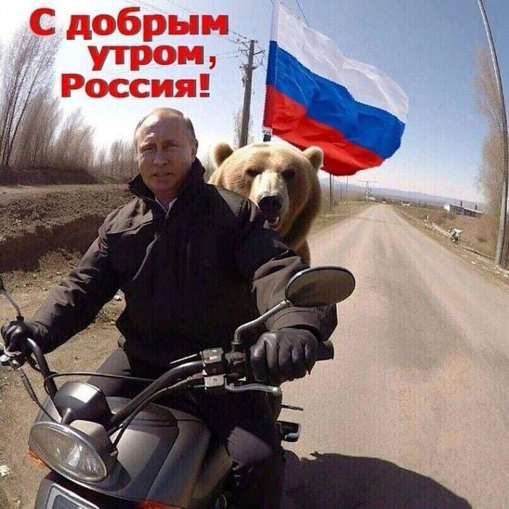 Прикольная с юмором открытка с добрым утром, Россия! Владимир Путин едет с медведем на мотоцикле.