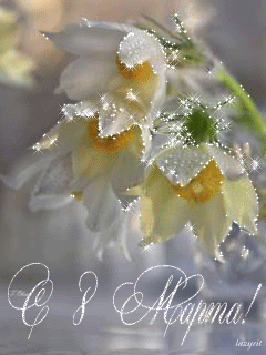 Открытка с Международным Женским Днем 8 марта gif анимационная мерцающая. Подснежники.