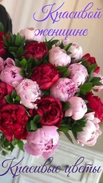 Открытка женщине. Красивой женщине - красивые цветы.