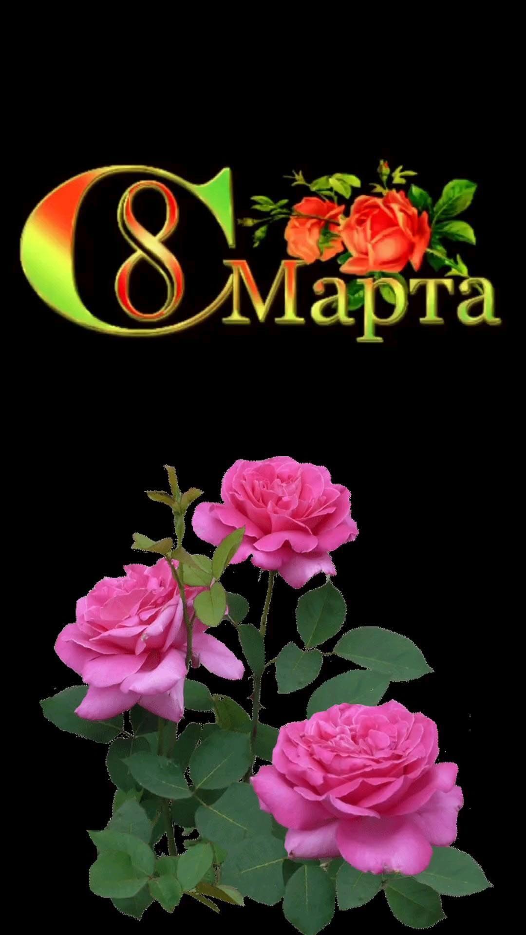 Открытка с Международным Женским Днем 8 марта. Розовые розы.