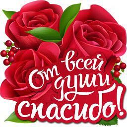Открытка Спасибо. От всей души спасибо! Красные розы.