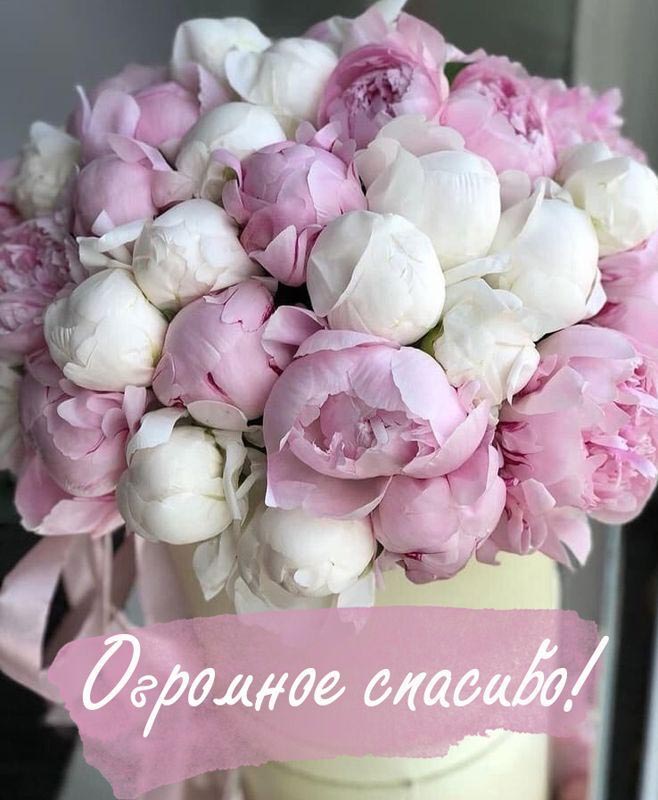 Открытка Спасибо. Огромное спасибо! Цветы.