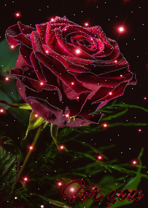 Открытка с днем рождения женщине gif анимационная мерцающая. For you. Красивая роза.