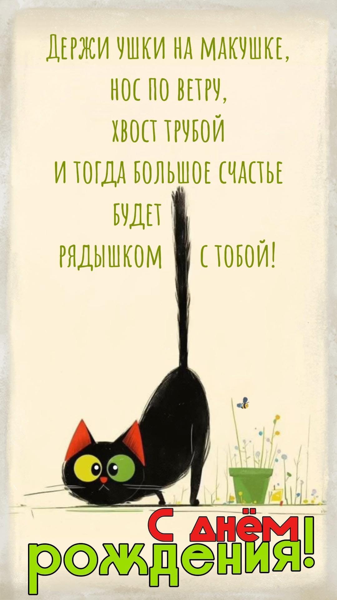 Открытка с днем рождения ребенку. Котик, цветы, пожелания. Открытка с днем рождения ребенку. Котик, цветы, пожелания.