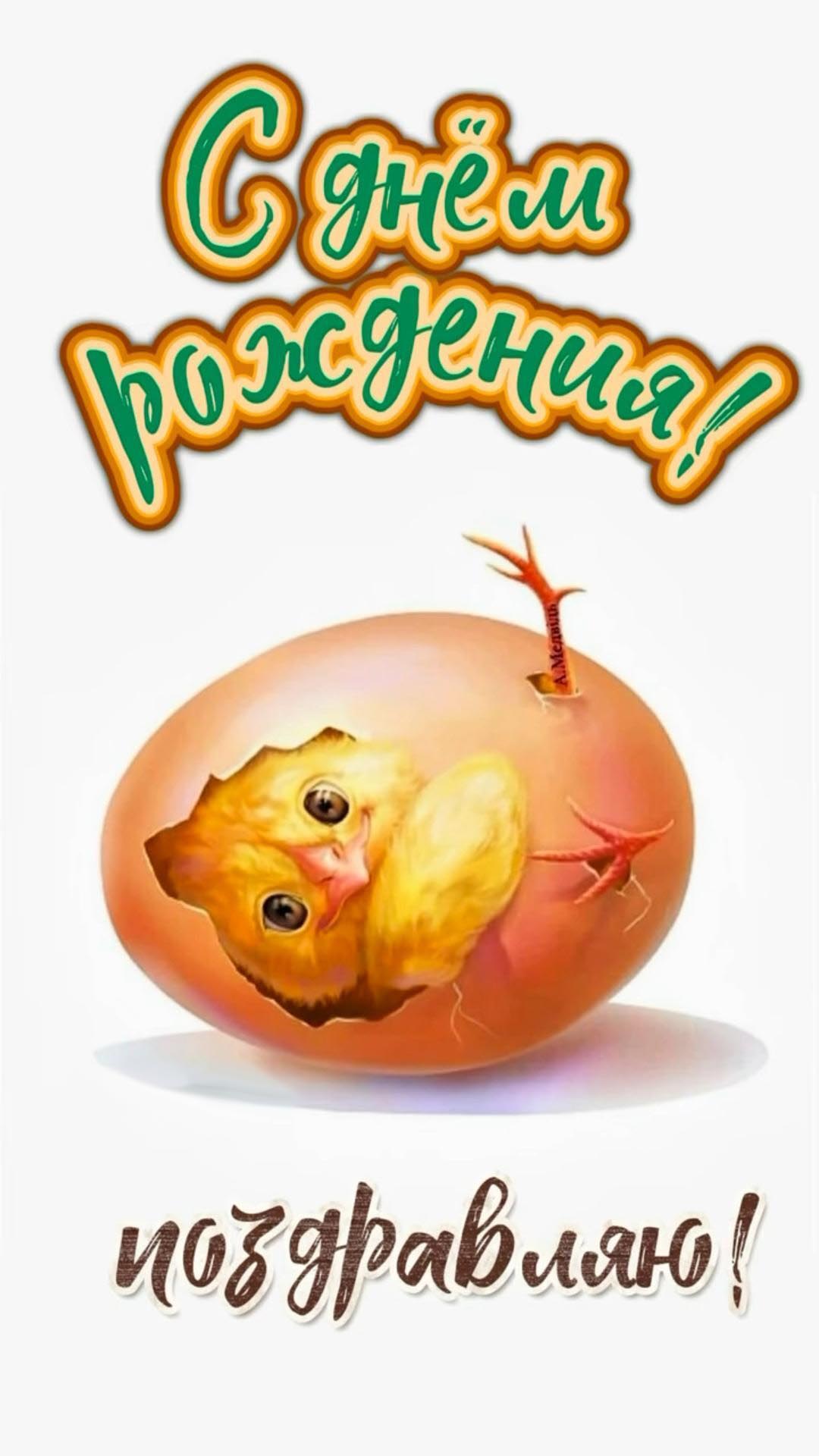 Открытка с днем рождения. Цыпленок в скорлупе.