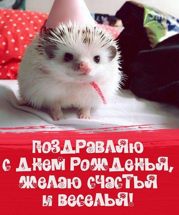 Открытка с днем рождения ребенку. Милый ежик. Поздравляю с днем рождения, желаю счастья и веселья!
