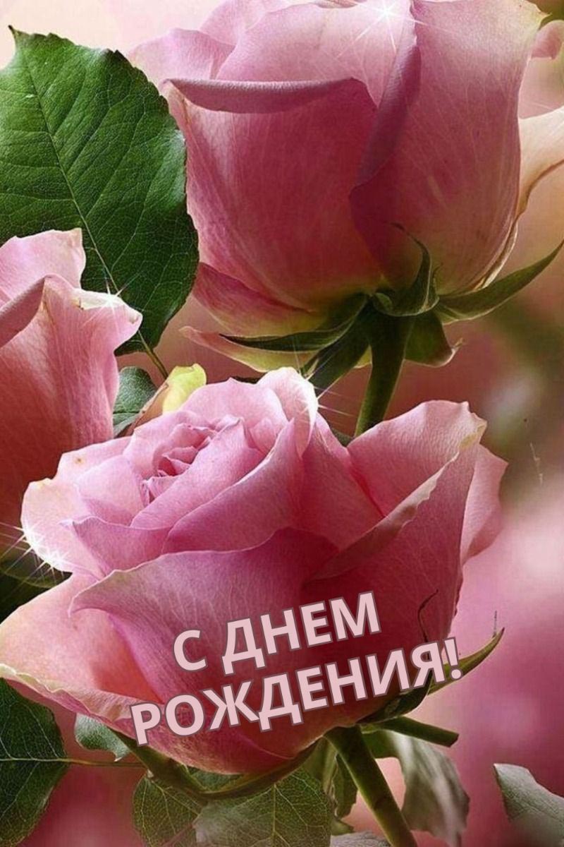 Открытка с днем рождения женщине. Розовые розы.