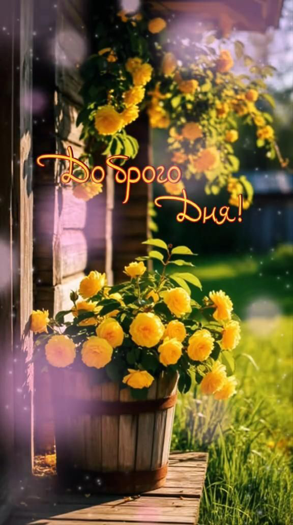 Открытка хорошего дня и настроения. Летние цветы.