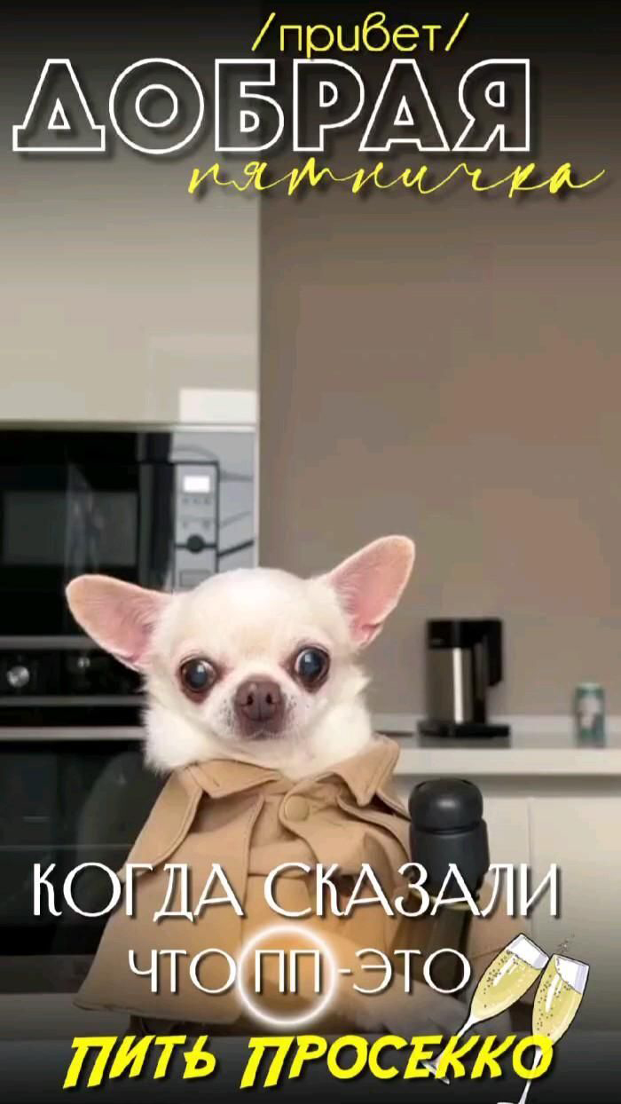 Открытка на пятницу. Собачка.