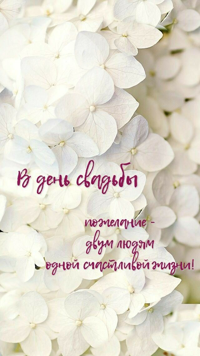 Открытка с днем свадьбы. Пожелания двум людям одной счастливой жизни. Белые цветы.