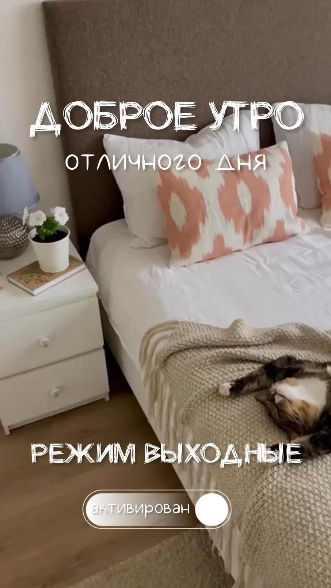 Открытка отличных выходных. Котик отдыхает.