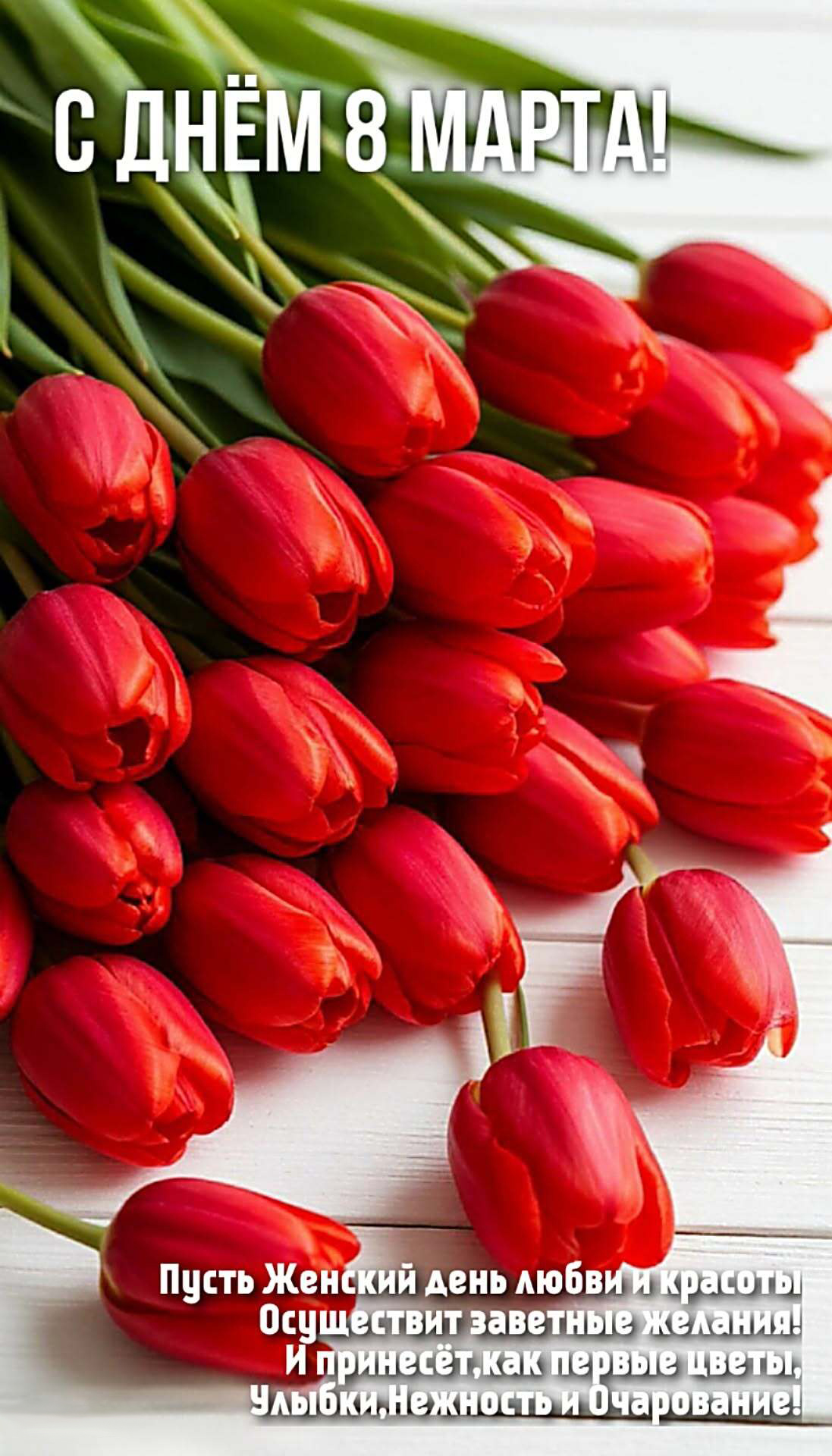 Открытка с Международным Женским Днем 8 марта. Красные тюльпаны.