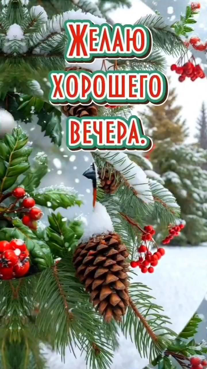 Открытка добрый зимний вечер. Елочка, снег. Открытка добрый зимний вечер. Елочка, снег.