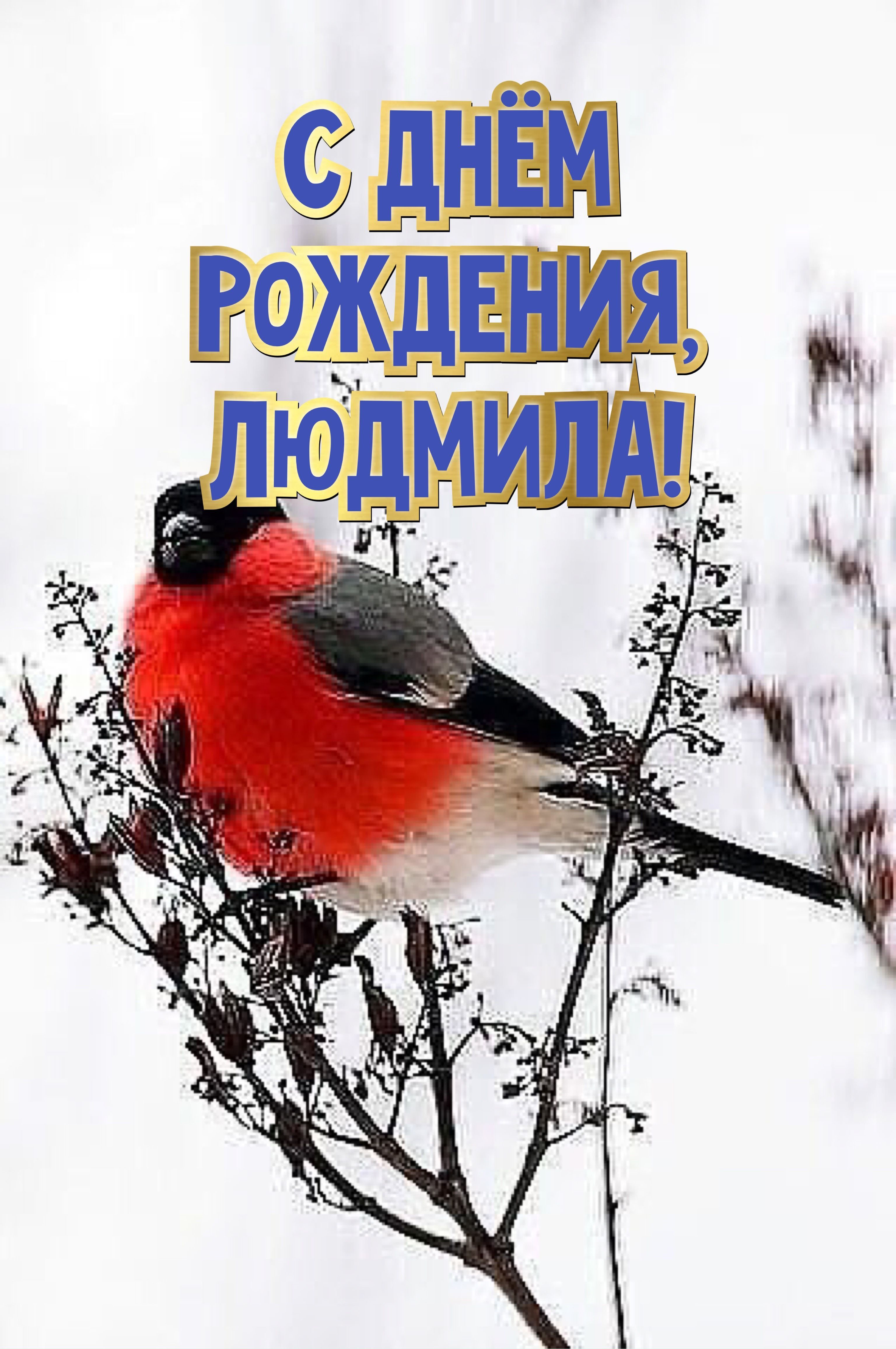 Открытка с днем рождения Людмила Люда. Снегирь на ветке.