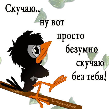 Открытка Скучаю gif анимационная. Птичка на ветке.