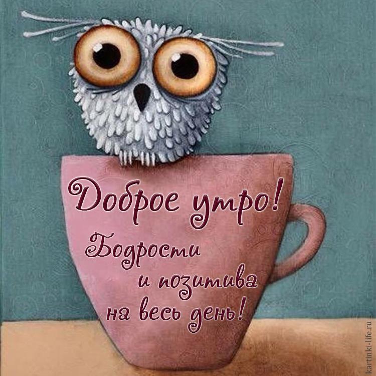 Доброе утро! Бодрости и позитива на весь день! Прикольная открытка с добрым утром; грустная белая сова сидит на чашке с кофе.