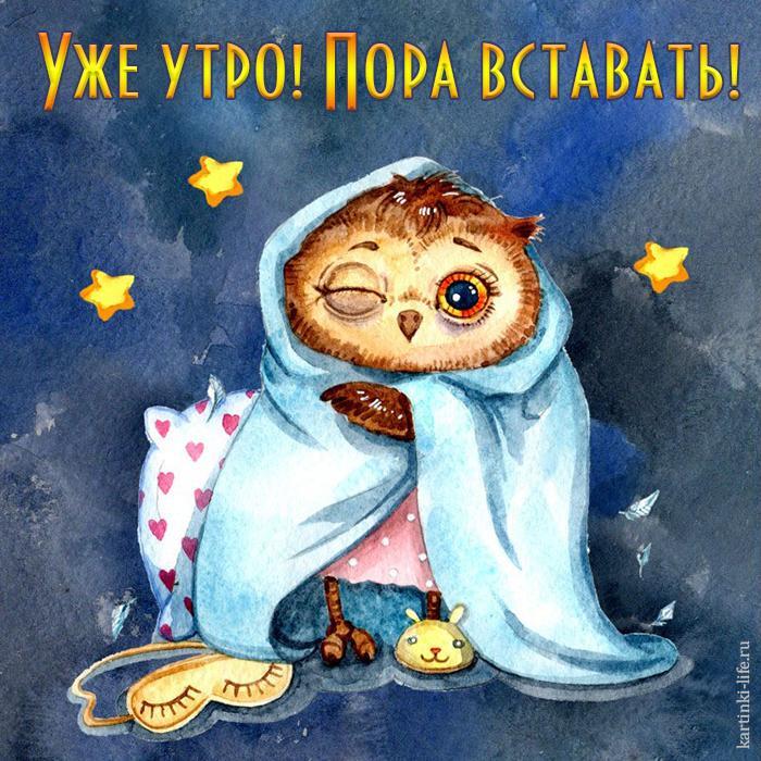Уже утро! Пора вставать! Прикольная открытка с добрым утром; сонная сова замоталась в одеяло и открыла один глаз.