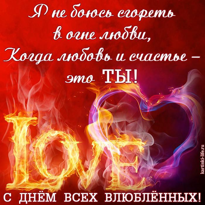 С Днем всех влюбленных! Я не боюсь сгореть в огне любви, Когда любовь и счастье – это ты!