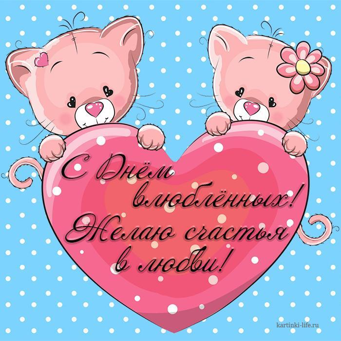 С Днем влюбленных! Желаю счастья в любви! Красивая открытка с Днем влюбленных, котята с сердечком.