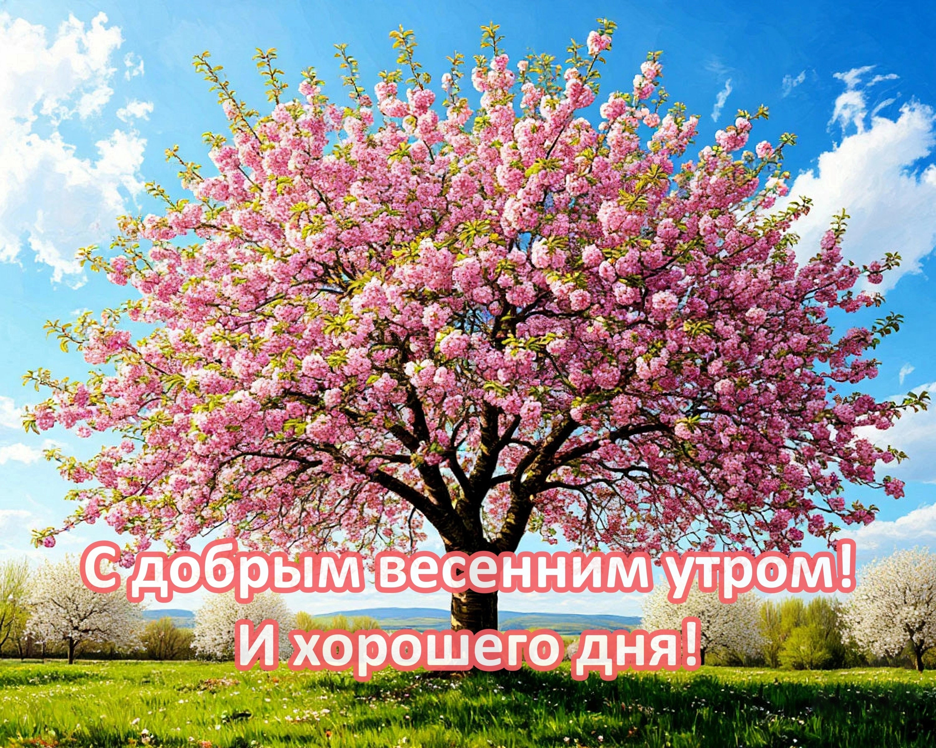 Открытка с добрым весенним утром.