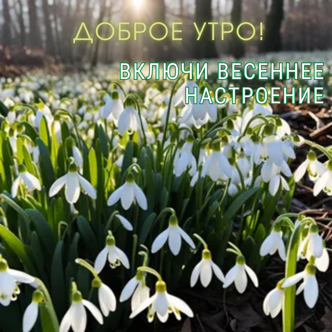 Открытка с добрым весенним утром.