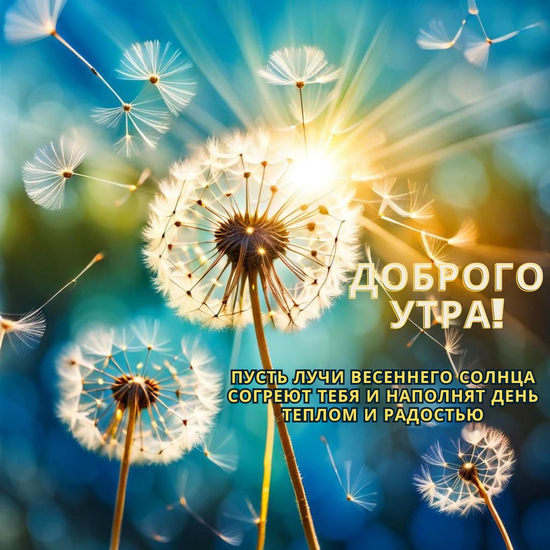 Открытка с добрым весенним утром.