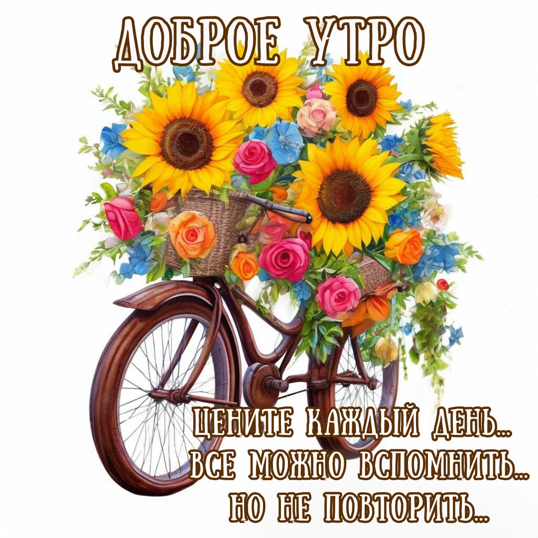 Открытка с добрым летним утром.