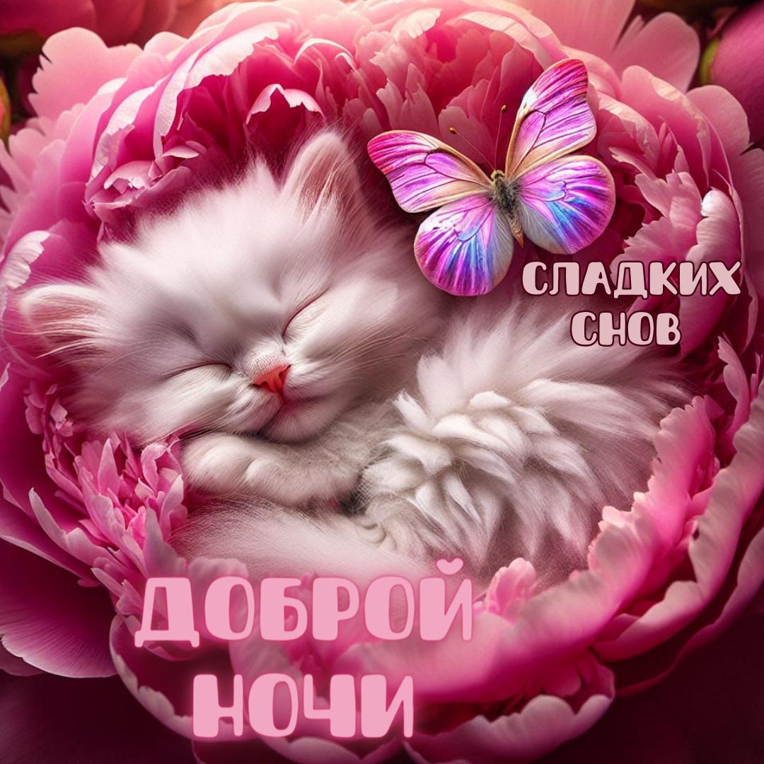Открытка спокойной летней ночи.