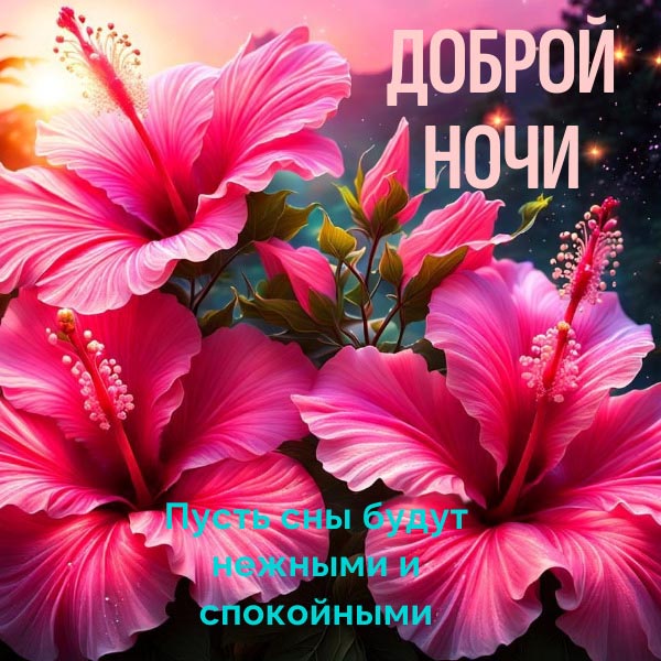 Открытка спокойной летней ночи.