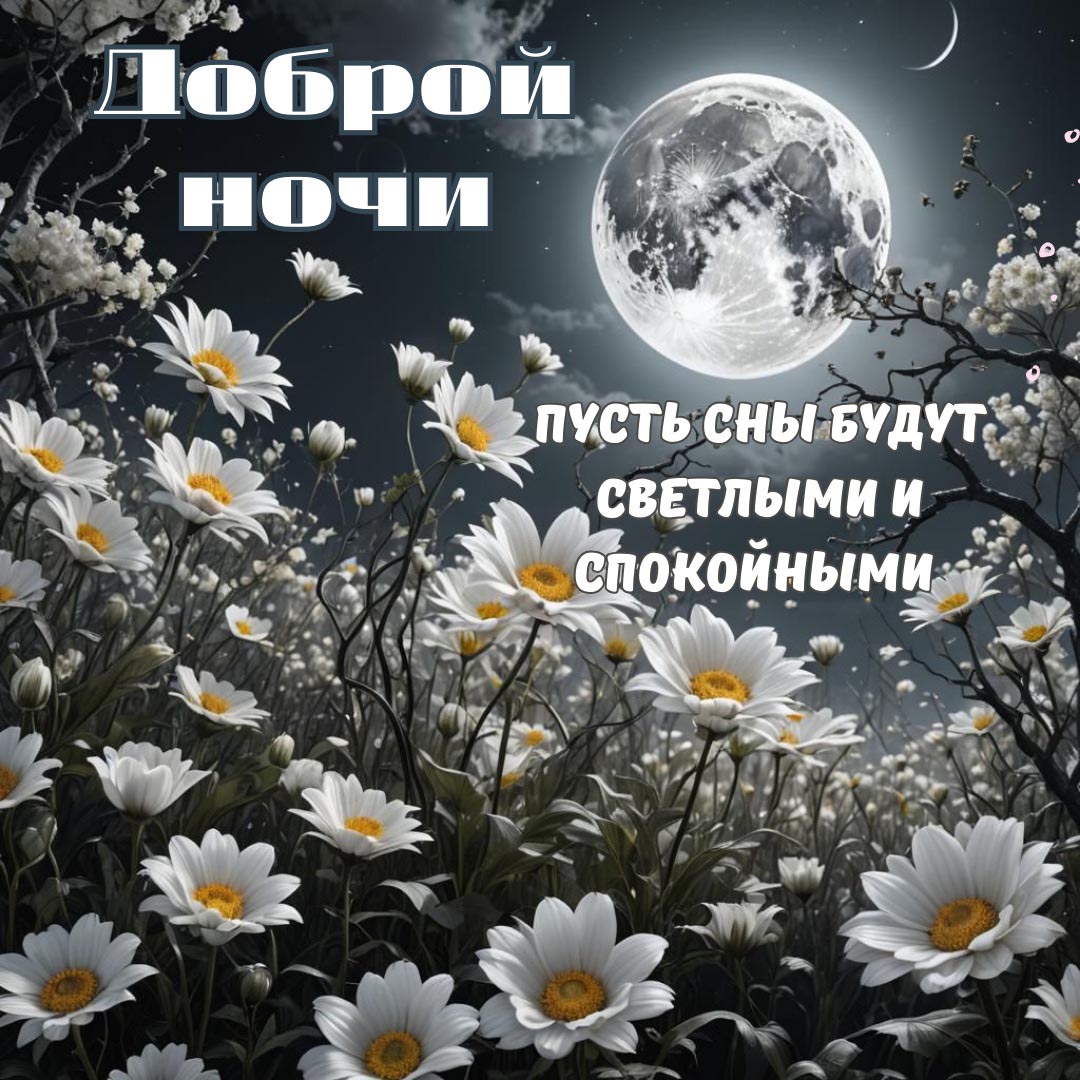 Открытка спокойной летней ночи.