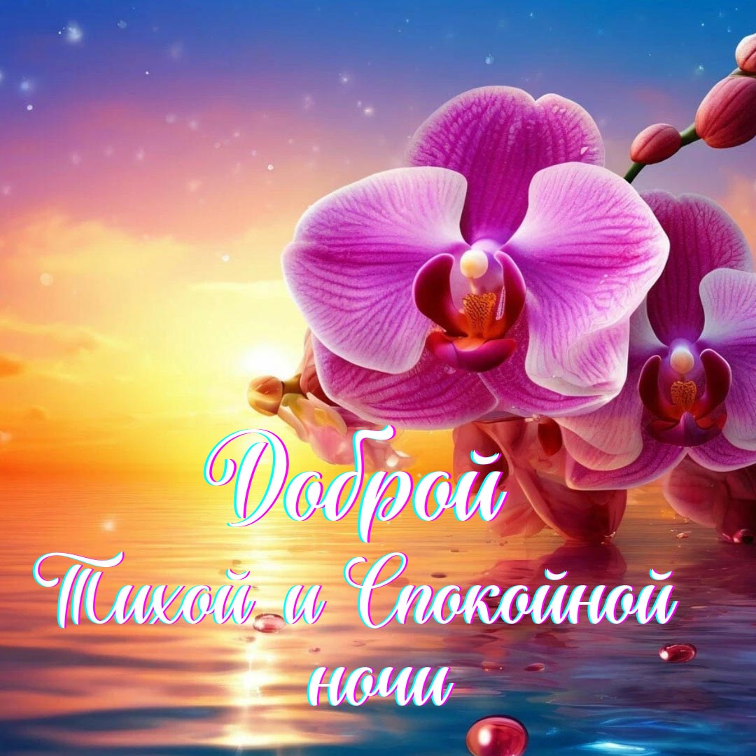 Открытка спокойной летней ночи.