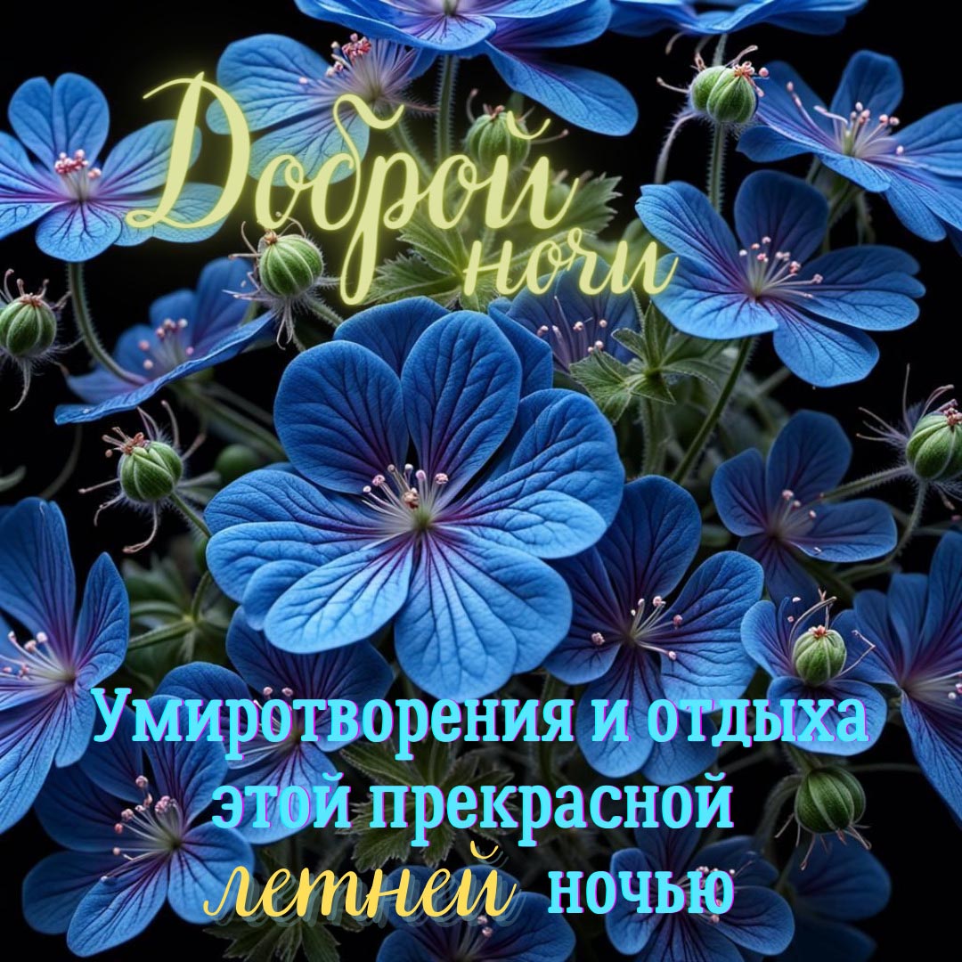 Открытка спокойной летней ночи.
