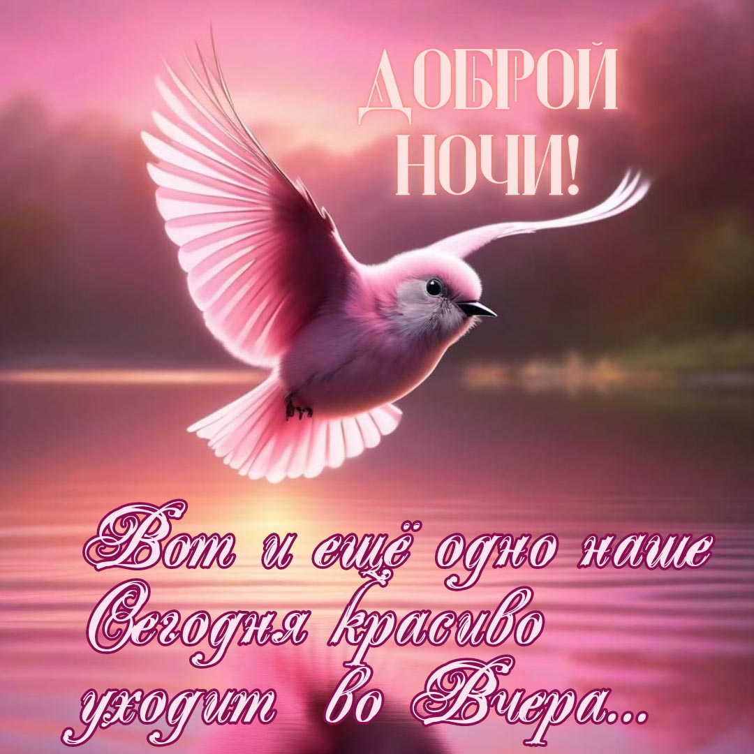Открытка спокойной летней ночи. Открытка спокойной летней ночи.