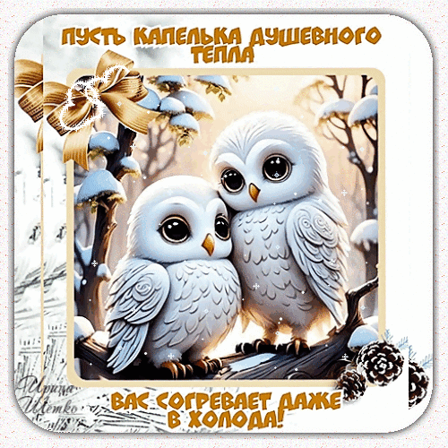 Милая открытка с двумя белыми совлятами в зимнем лесу. Надпись: «Пусть капелька душевного тепла вас согревает даже в холода!». Идеально для зимних пожеланий. Анимированная открытка Капелька тепла