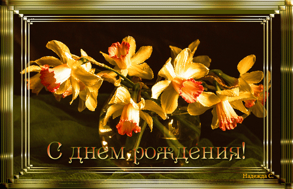 Праздничная открытка «С днем рождения!» с нежными желтыми нарциссами в вазе. Элегантное поздравление в золотистых тонах для близких и друзей. Анимированная открытка С днем рождения!