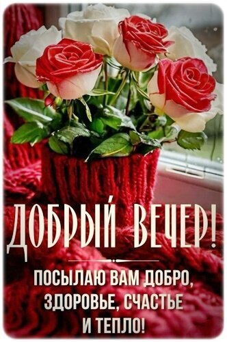 Открытка «Добрый вечер!» с букетом красных и белых роз. Пожелание добра, здоровья, счастья и тепла для близких в WhatsApp и соцсетях. Открытка Добрый вечер!