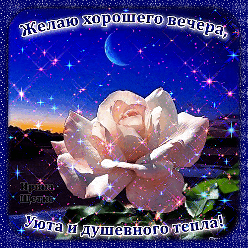 Красивая открытка на вечер: светлая роза, звездное небо и полумесяц. Надпись: «Желаю хорошего вечера, уюта и душевного тепла!». Идеально для пожеланий. Анимированная открытка Добрый вечер! Красивая открытка на вечер: светлая роза, звездное небо и полумесяц. Надпись: «Желаю хорошего вечера, уюта и душевного тепла!». Идеально для пожеланий. Анимированная открытка Добрый вечер!