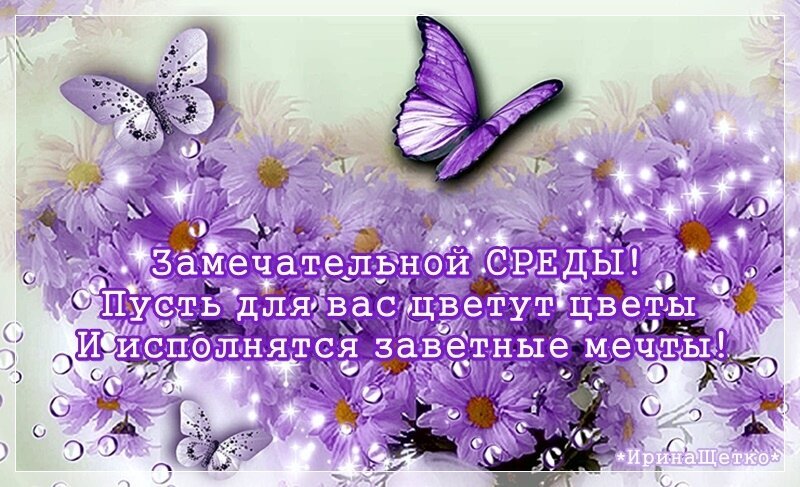 Красивая открытка на среду с фиолетовыми цветами и бабочками. Пожелание замечательной среды и исполнения заветных мечтаний для хорошего настроения. Открытка Замечательной среды!