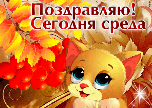 Милая открытка с рыжим котенком и осенними листьями: «Поздравляю! Сегодня среда». Яркая картинка для доброго пожелания хорошего дня в середине недели. Анимированная открытка Поздравляю! Сегодня среда!