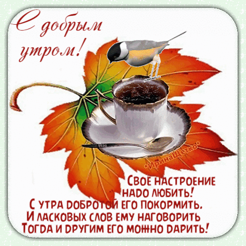 Доброе утро! Уютная осенняя открытка с чашкой кофе, птичкой и кленовым листом. Красивое пожелание хорошего настроения и вдохновляющая цитата о доброте. Анимированная открытка Доброе, утро!