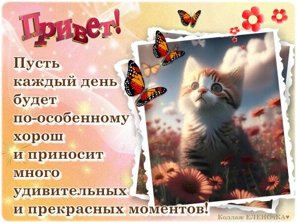 Милая открытка с котенком и бабочками. Пожелание доброго дня: «Пусть каждый день будет по-особенному хорош и приносит много прекрасных моментов!» Открытка Пусть каждый день будет хорош!